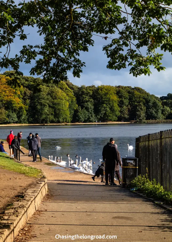 Lake in Roundhay Park